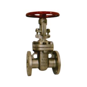 STEEL GATE VALVE