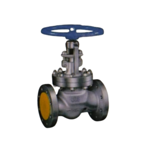STEEL GLOBE VALVE