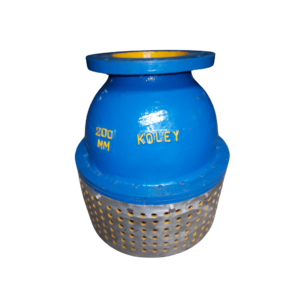 Foot Valve