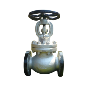 Globe Valve
