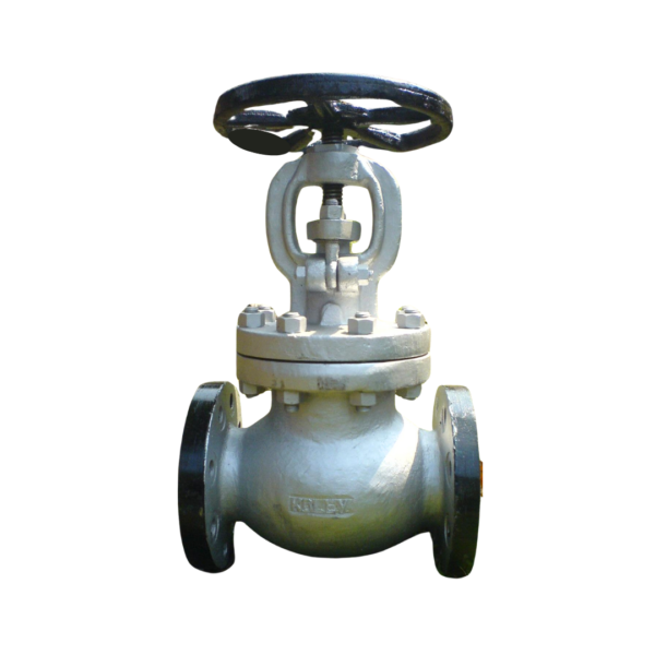 Globe Valve
